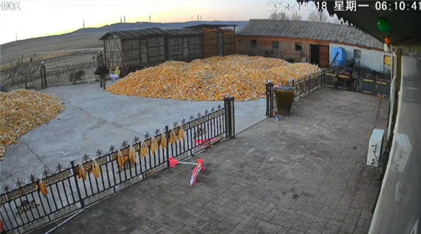 黑龍江老虎進(jìn)村猛撞門 有人手被咬爛 官方通報(bào)：正在追蹤