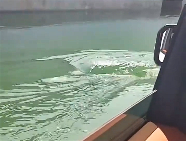 仰望U8應(yīng)急浮水測(cè)試車內(nèi)視角曝光：水面卷起多個(gè)小漩渦