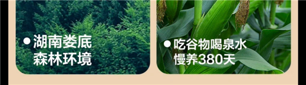 肉含量≥85%！網(wǎng)易嚴(yán)選黑豬烤腸官方補(bǔ)貨沖量：1.88元/支