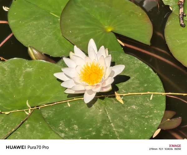 用了一個月華為Pura 70 Pro：我決定推薦下這個大杯 超值