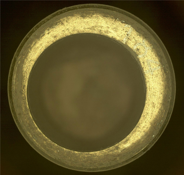 NASA毅力號火星車在火星上抓了一把土：馬上帶回地球