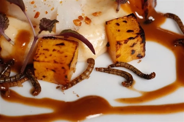 螞蟻吃起來(lái)是什么味道 云南人說(shuō)又酸又脆