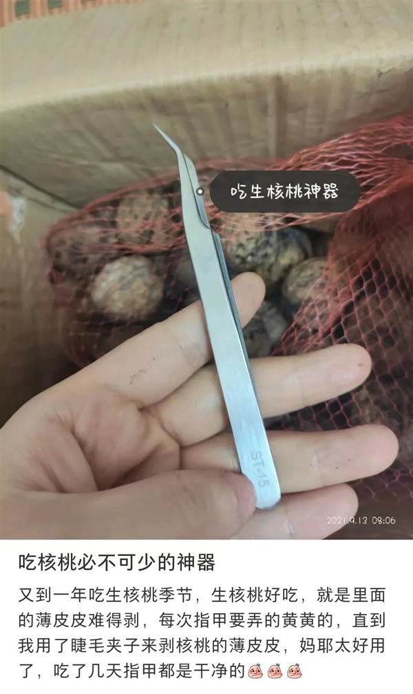 新上市！秋初才有的鮮美果子 錯過真的太太太遺憾了