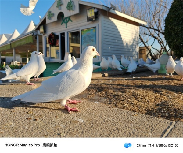 榮耀Magic6 Pro上手體驗：比遙遙領先還要領先