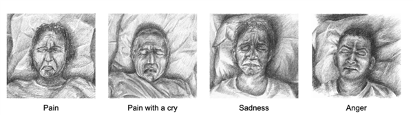 哈哈哈哈！睡著后的表情為什么會這么丑啊