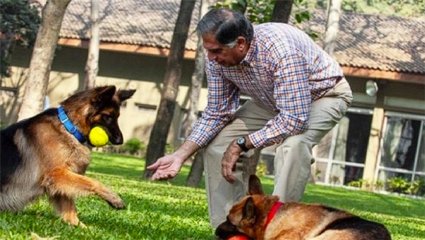 沒結(jié)婚也沒子女 印度億萬富翁逝世：將大部分遺產(chǎn)留給愛犬