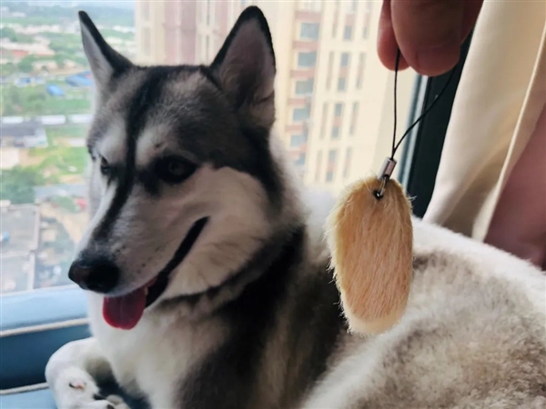 胡蘿卜素是菠蘿的45倍 熱量比蘋果還低 這種水果現(xiàn)在吃正好