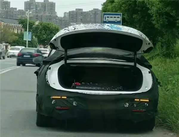 中國人還需要特斯拉殺手嗎？