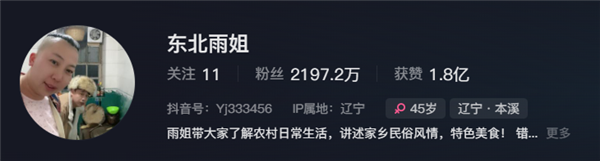 東北雨姐：東北給全國人打的一針興奮劑