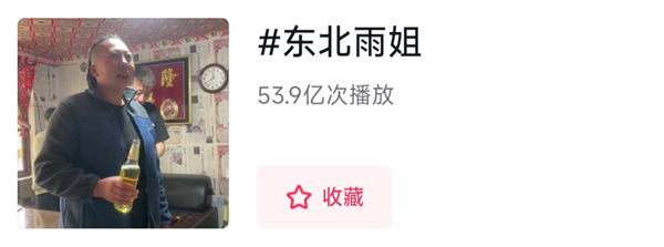 東北雨姐：東北給全國人打的一針興奮劑