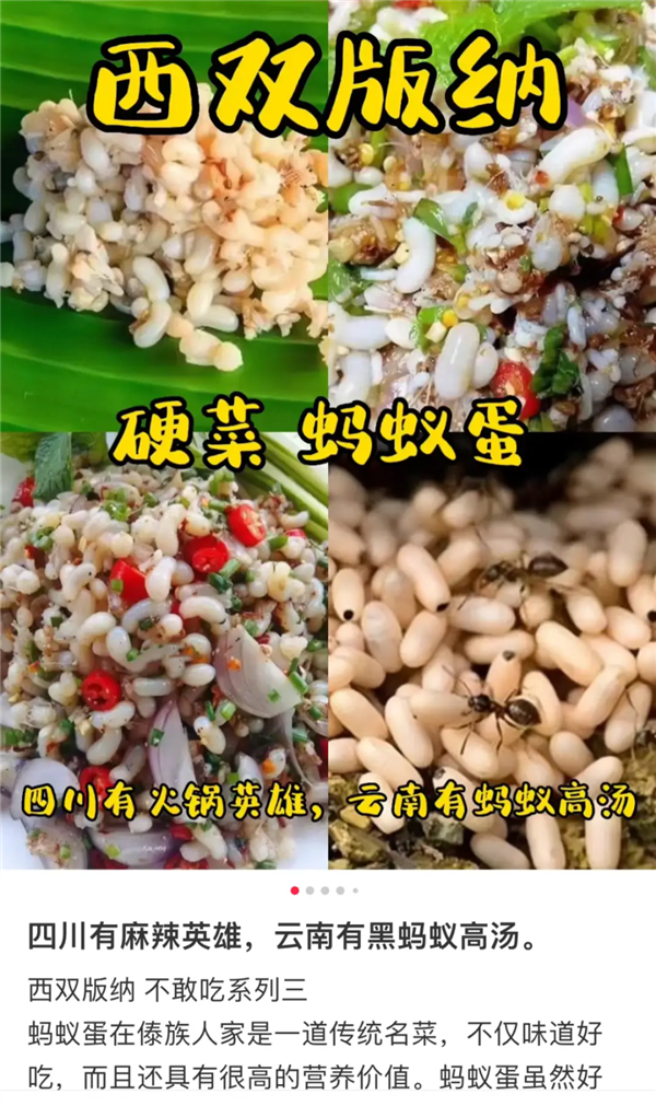 螞蟻吃起來(lái)是什么味道 云南人說(shuō)又酸又脆