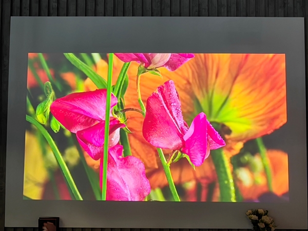 當(dāng)貝投影大舉進(jìn)軍海外：填補(bǔ)一大空白、2500亮度無敵