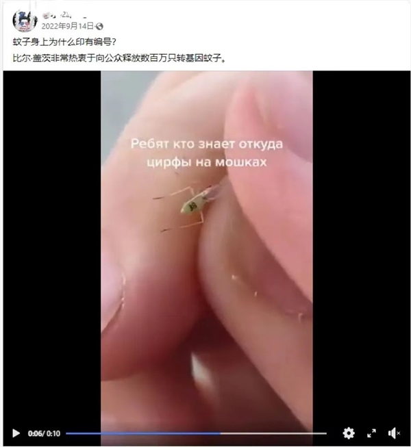 男子發(fā)現(xiàn)蚊子帶有神秘編號“36”！結(jié)果哭笑不得