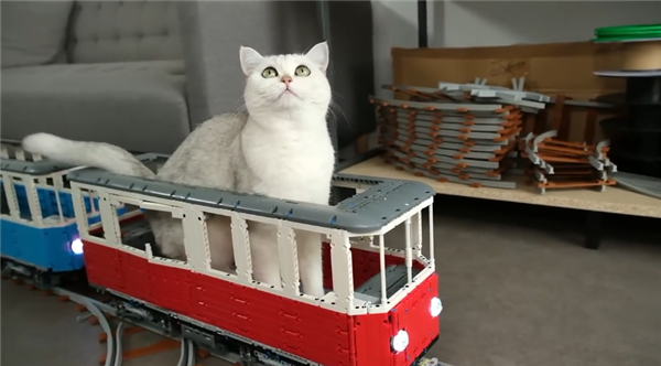大神用樂高給貓咪造了一輛火車：隔壁狗子饞哭了！