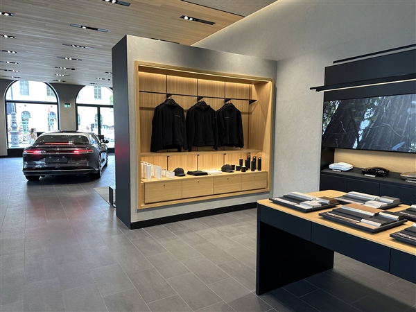 中國人還需要特斯拉殺手嗎？