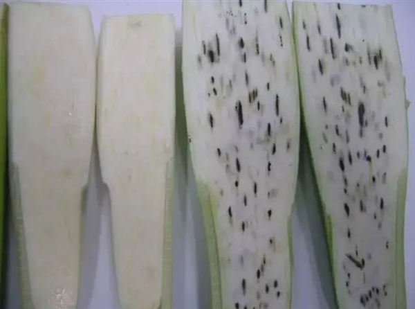 中國失傳1000年的主食！現(xiàn)在又成了“土豪米”：還要從國外進口