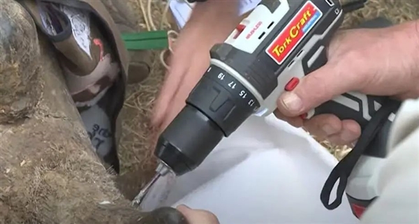 科學(xué)家首次將放射性物質(zhì)注入犀牛角中：以防止偷獵