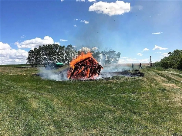 世界首個無鼠城市加拿大阿爾伯塔：毒殺、火燒和射殺齊上陣