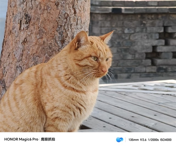 榮耀Magic6 Pro上手體驗：比遙遙領先還要領先