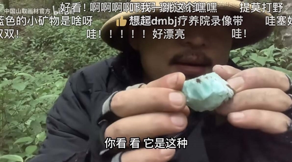 玩一次山上野采 才知道小時(shí)候錯(cuò)過了那么多