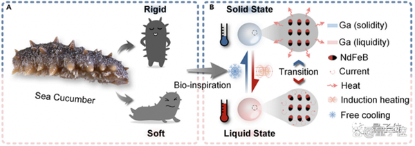 中國團(tuán)隊(duì)開發(fā)液體機(jī)器人成功越獄：復(fù)刻《終結(jié)者2》T-1000名場面