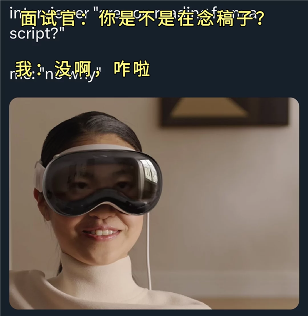 快被蘋果Vision Pro的梗圖笑死！它讓世界變得更詭異魔幻了