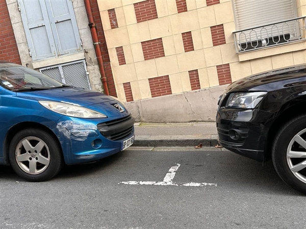 中國汽車 還能稱霸法國車市嗎