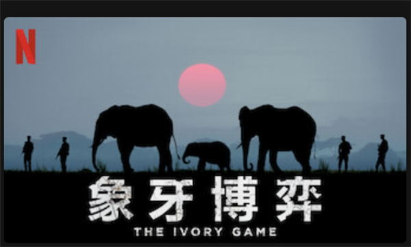 為了傳承傳統(tǒng)文化 我要借你命用一下