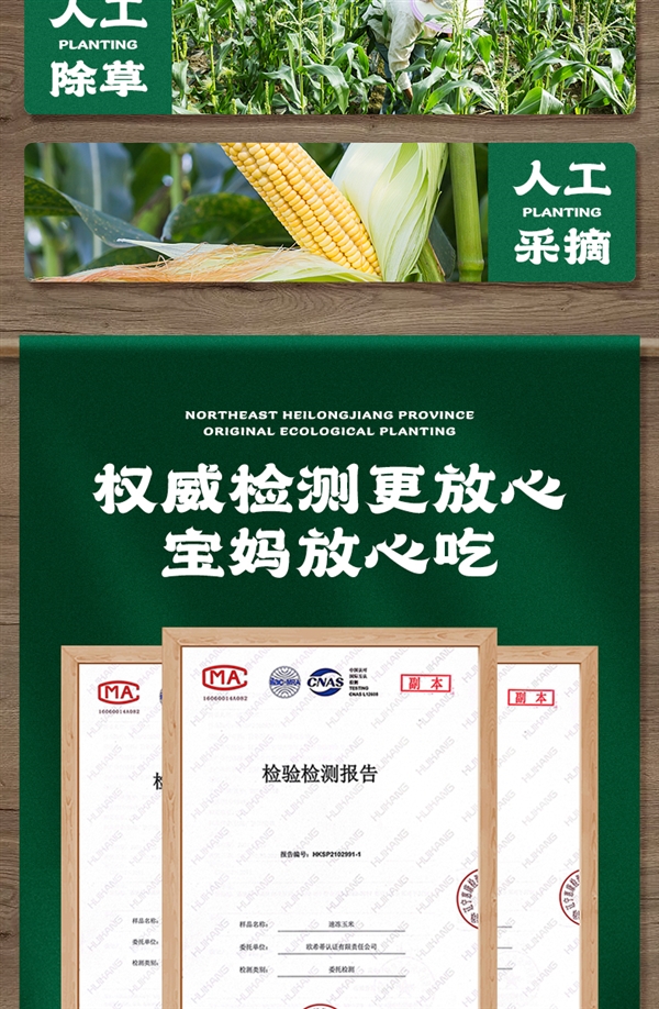 軟糯香甜 一年一季：啃糯東北黑糯玉米19.9元10支大促（減30元）