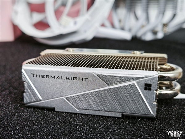 徹底解決高性能SSD過熱問題！利民HR-10 2280 PRO散熱器上手