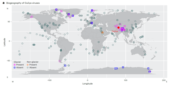 古里雅冰川中發(fā)現(xiàn)超過1700種古病毒：它們對人體有威脅嗎