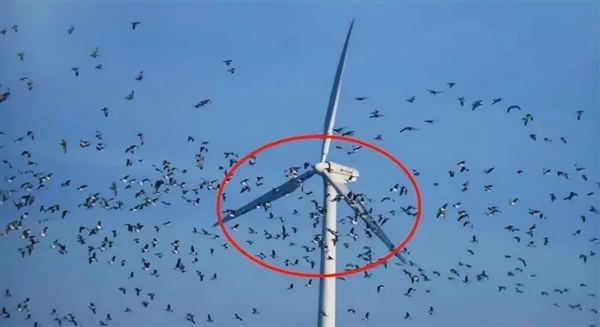 轉(zhuǎn)一圈發(fā)電34.2度 世界最大風力發(fā)電機現(xiàn)在咋樣