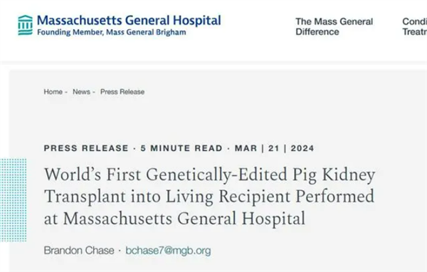 世界首例豬腎成功移植到活人體內(nèi)：很快就能出院