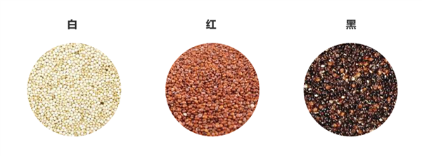 蛋白含量比雞蛋高 膳食纖維比燕麥優(yōu)秀！這種食材被嚴(yán)重忽視了