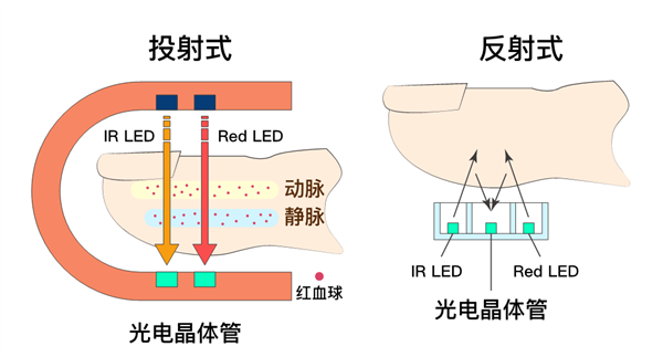 血氧儀都被搶斷貨了 但我勸你買之前冷靜點(diǎn)