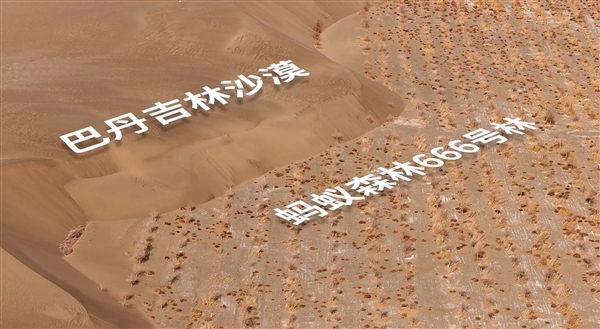 螞蟻森林超9成樹種在“三北”攻堅(jiān)戰(zhàn)核心區(qū) 再捐1億元支持甘肅治沙(圖4) 螞蟻森林超9成樹種在“三北”攻堅(jiān)戰(zhàn)核心區(qū) 再捐1億元支持甘肅治沙