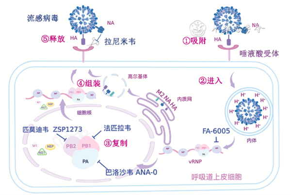 年銷60億元國產(chǎn)“神藥”已陷生死局