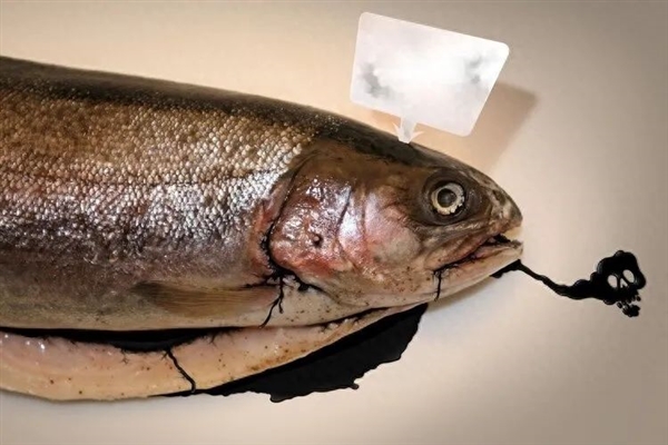 明明是核污水排放入海！日本為什么能得到聯(lián)合國認(rèn)可？