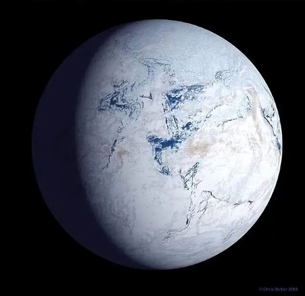 人類為什么能夠在進(jìn)化中勝出：是必然還是偶然？