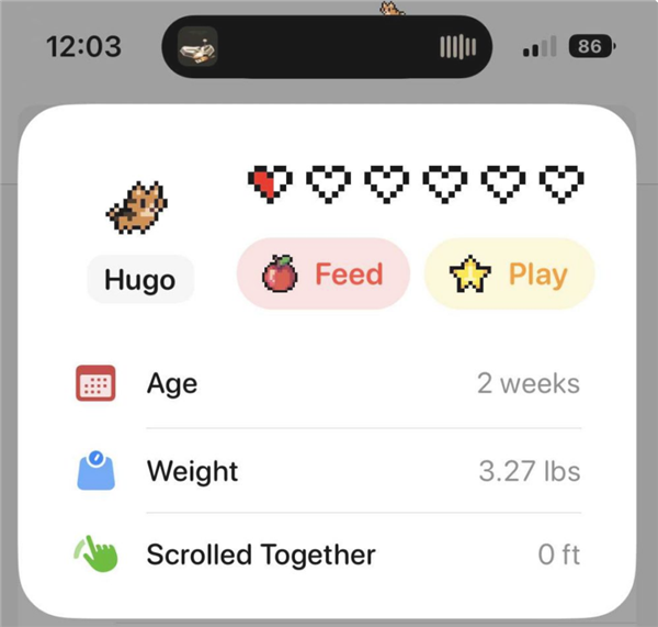 iPhone的靈動(dòng)島 竟然還能這么玩？！