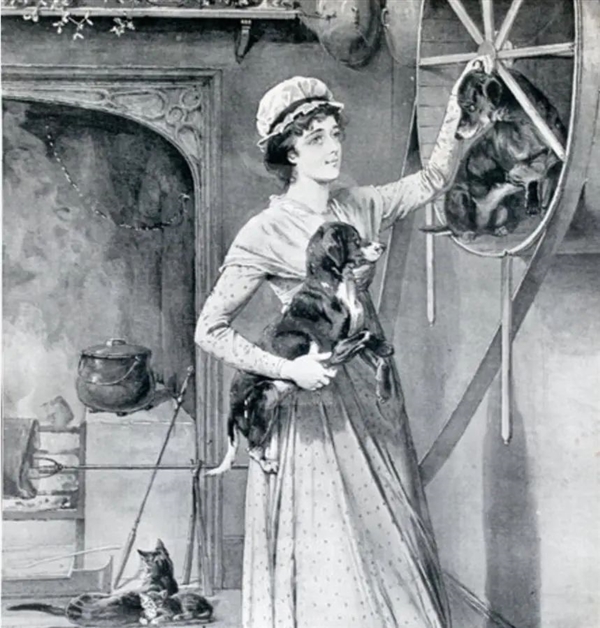 為吃肉 英國人專門訓(xùn)練了烤肉犬 讓它像倉鼠一樣在滾輪里不停跑