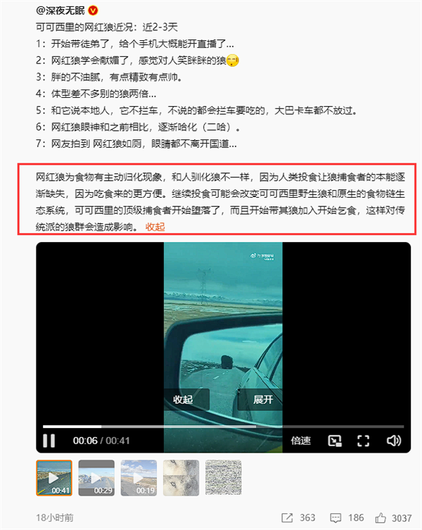 可可西里網(wǎng)紅狼帶了新狼來蹭吃：人類繼續(xù)投喂可改變當(dāng)?shù)厥澄镦溕鷳B(tài)
