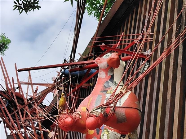 從2米高度跌落完好無損！榮耀X60 Pro體驗(yàn)