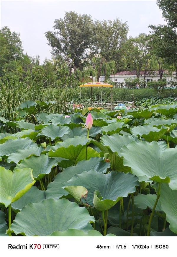 小米影像大模型賦能！Redmi K70至尊版拍照體驗(yàn)