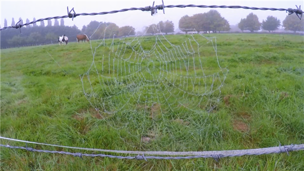 暗物質(zhì)PK暗能量：一場貫穿整個(gè)宇宙的戰(zhàn)爭