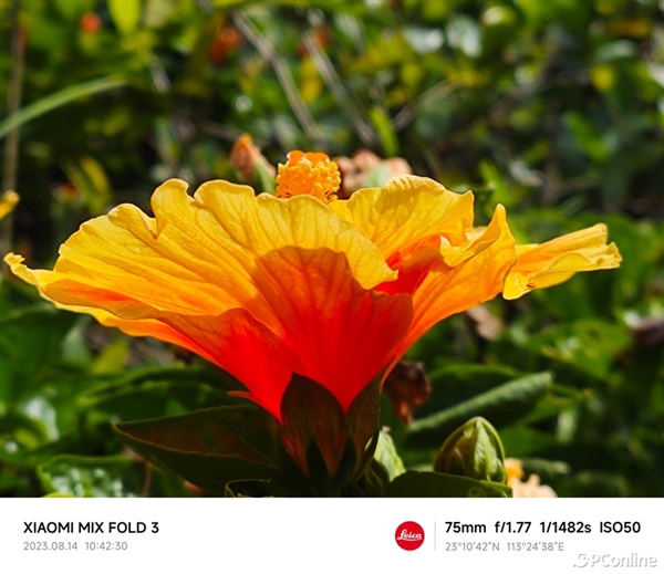 小米MIX Fold 3上手：既全能又輕薄 最完美折疊屏