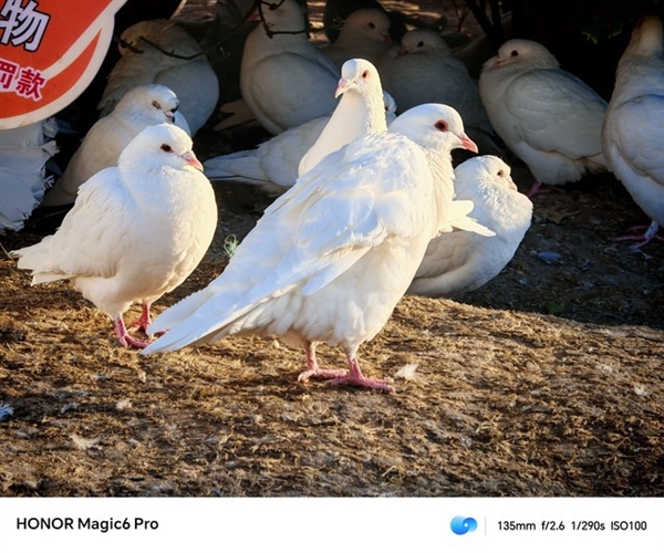 榮耀Magic6 Pro上手體驗：比遙遙領先還要領先