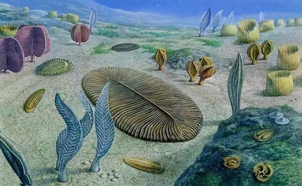 人類為什么能夠在進(jìn)化中勝出：是必然還是偶然？