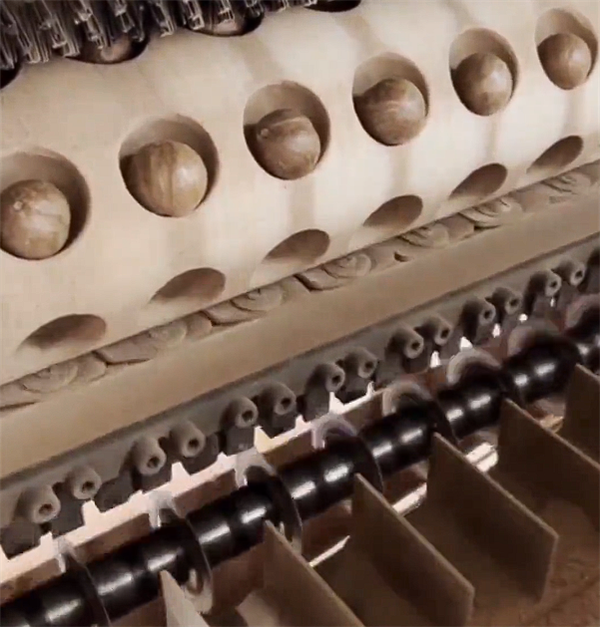 你愛吃的夏威夷堅果：全球一半以上出自云南