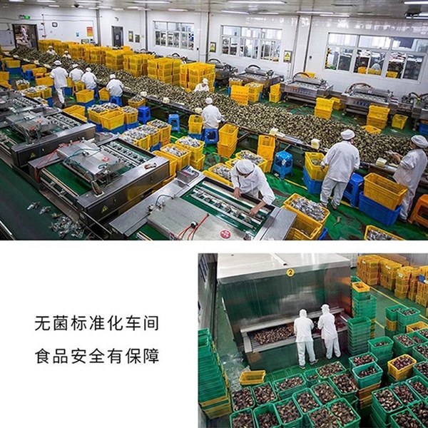 嘉興老字號！糧午齋大肉粽官半價節(jié)前沖量：19.9元買10個
